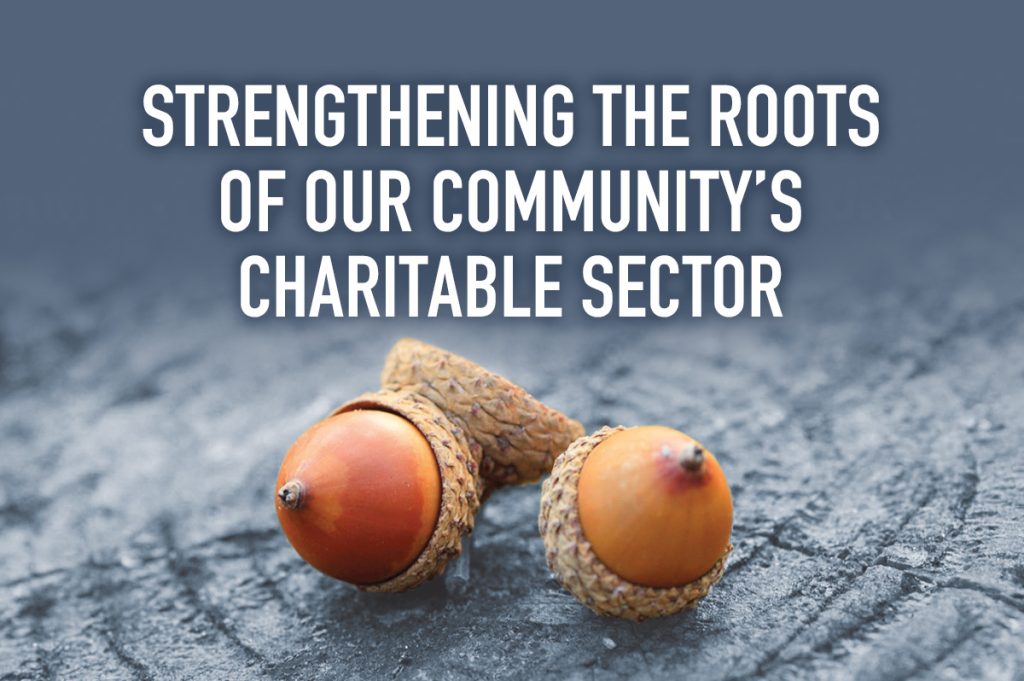 Strengthening the roots of our community's charitable sector